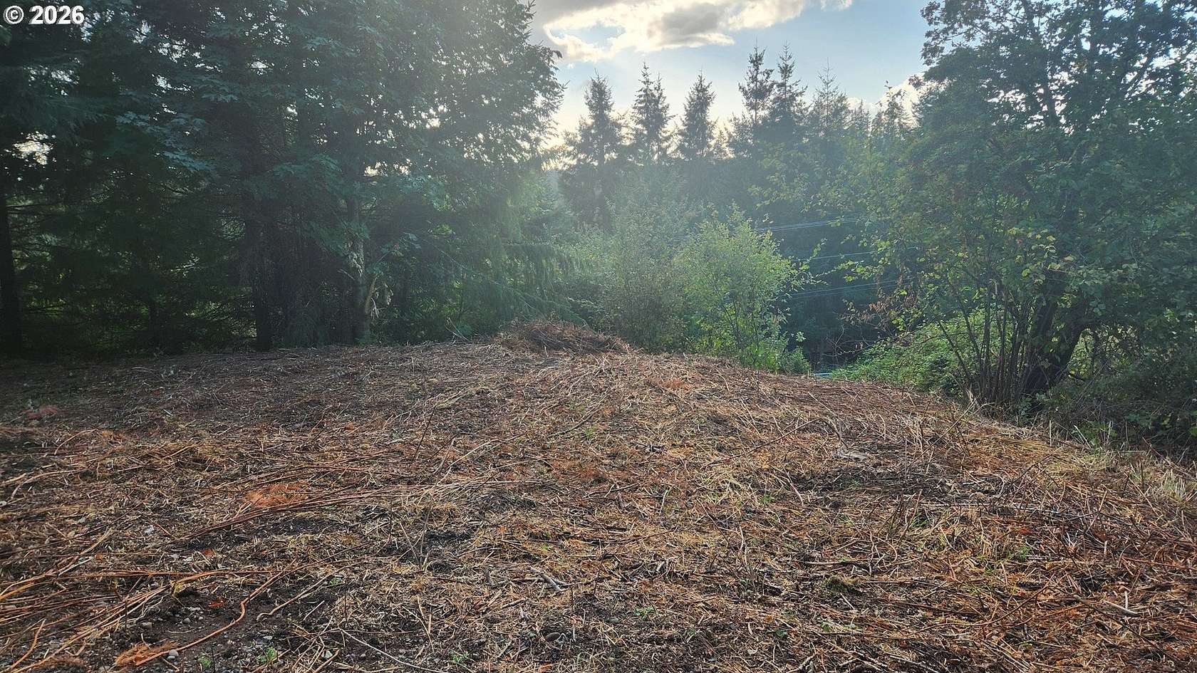 0.65 Acres of Residential Land for Sale in Winlock, Washington