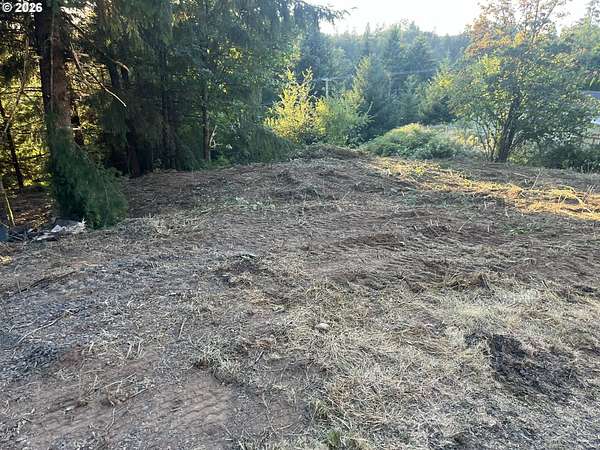 0.65 Acres of Residential Land for Sale in Winlock, Washington