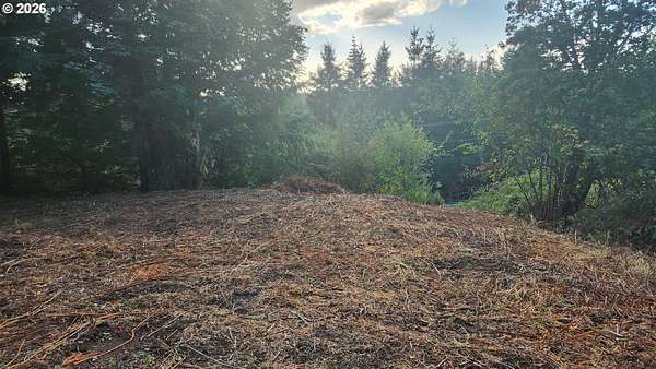 0.65 Acres of Residential Land for Sale in Winlock, Washington