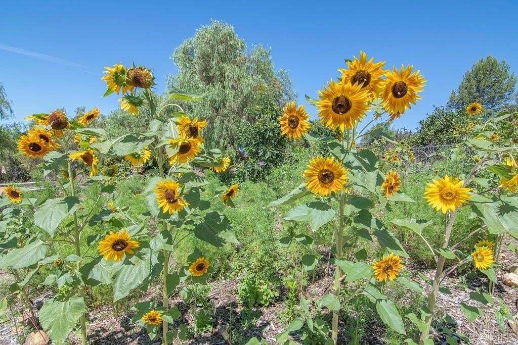 3 Acres of Land with Home for Sale in Fallbrook, California