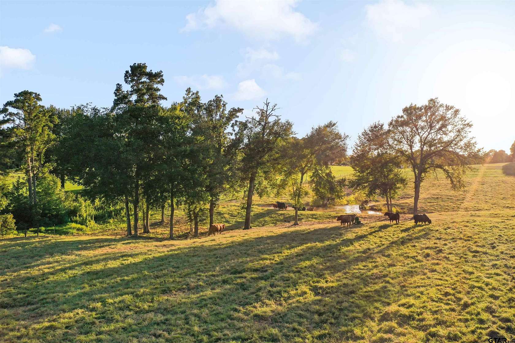 14 Acres of Land for Sale in Troup, Texas
