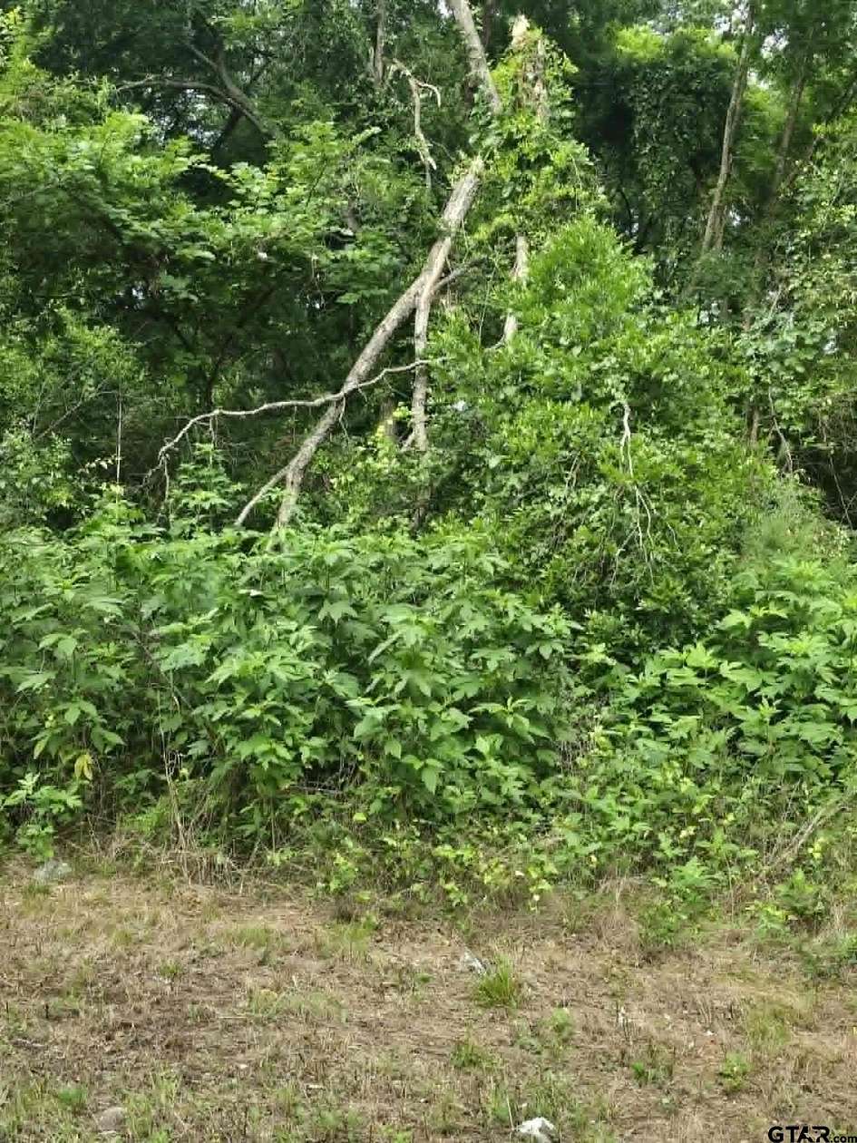 0.23 Acres of Residential Land for Sale in Daingerfield, Texas