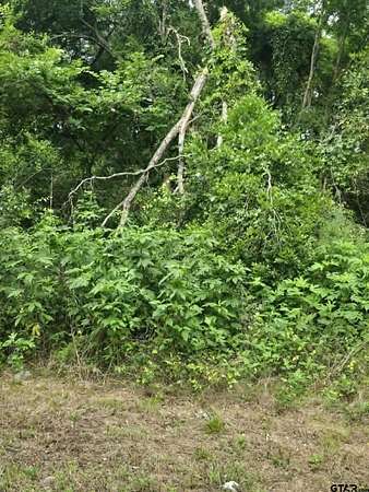 0.23 Acres of Residential Land for Sale in Daingerfield, Texas