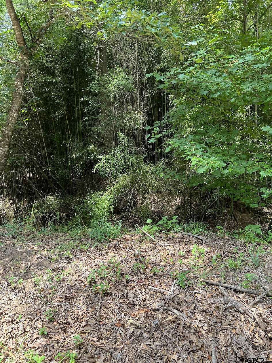 13.3 Acres of Land for Sale in Mount Vernon, Texas