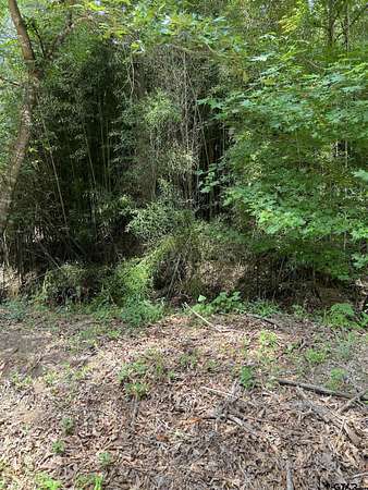 13.3 Acres of Land for Sale in Mount Vernon, Texas