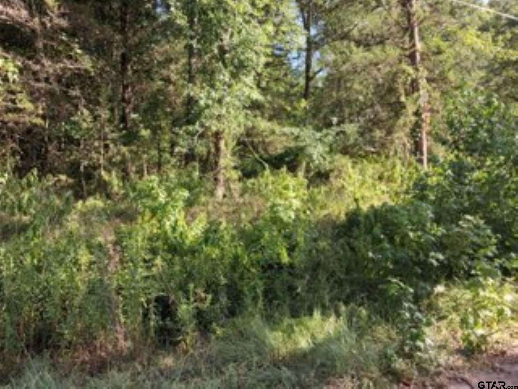 0.24 Acres of Residential Land for Sale in Murchison, Texas
