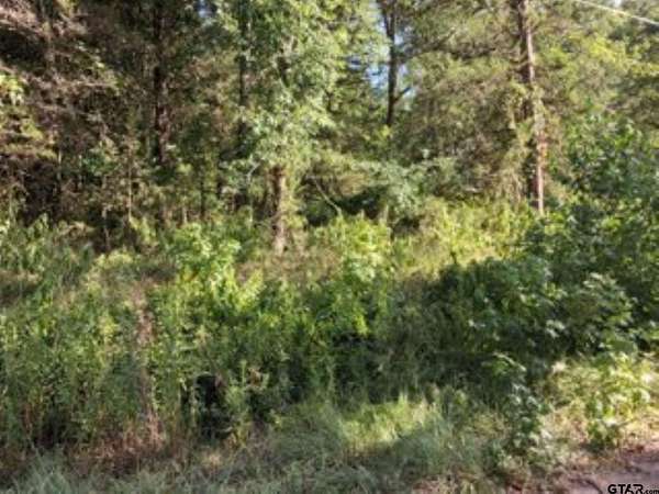 0.24 Acres of Residential Land for Sale in Murchison, Texas