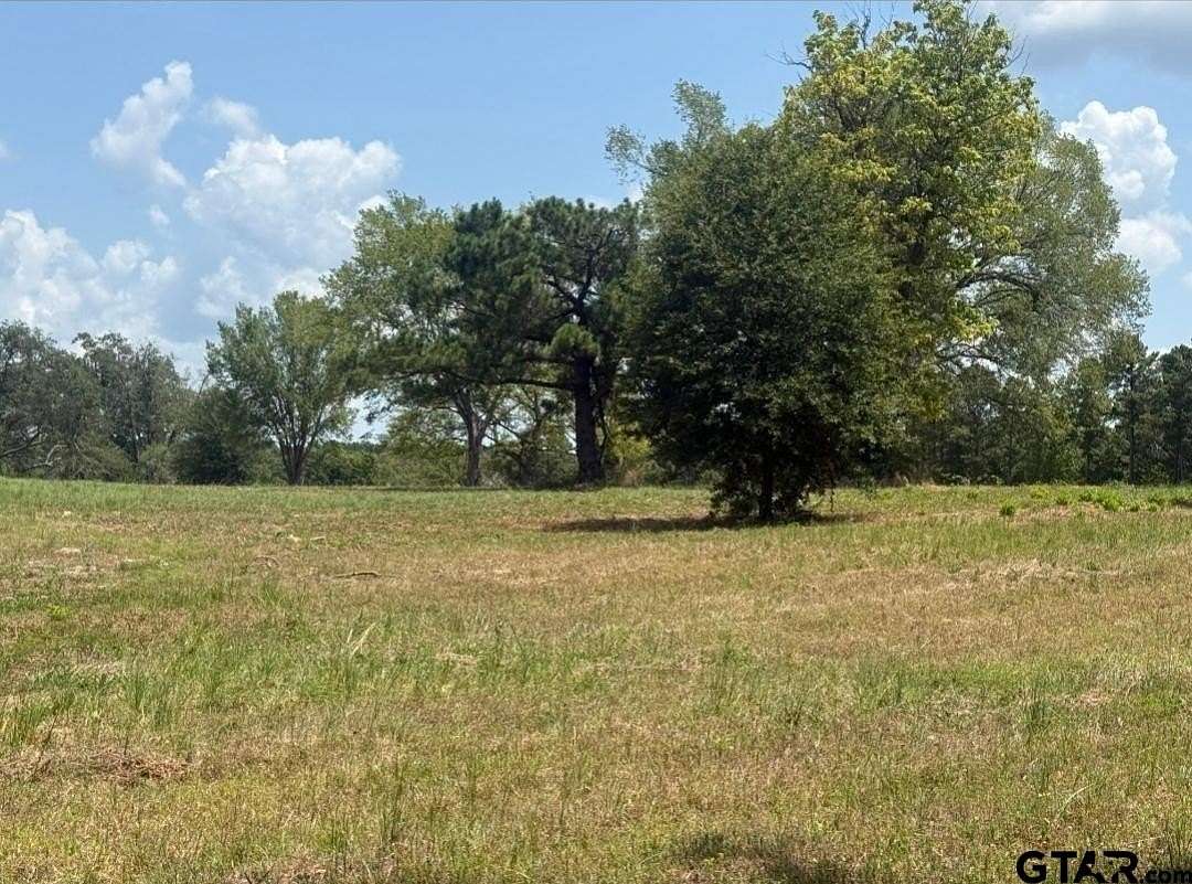 91 Acres of Recreational Land for Sale in Lindale, Texas