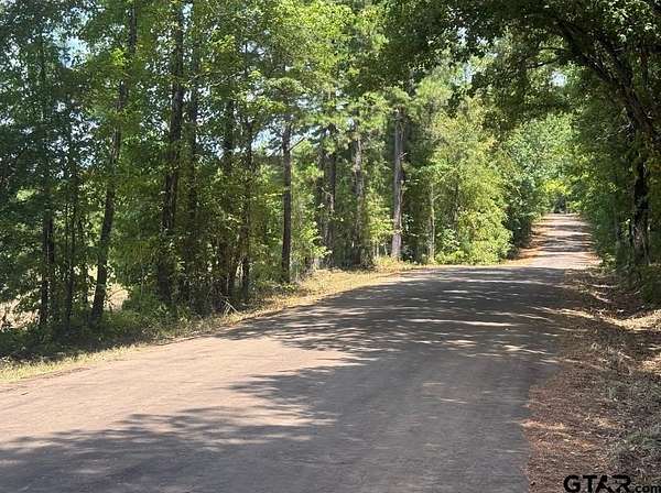 91 Acres of Recreational Land for Sale in Lindale, Texas