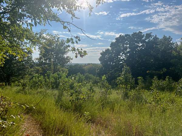 38.7 Acres of Land for Sale in Locust Grove, Oklahoma