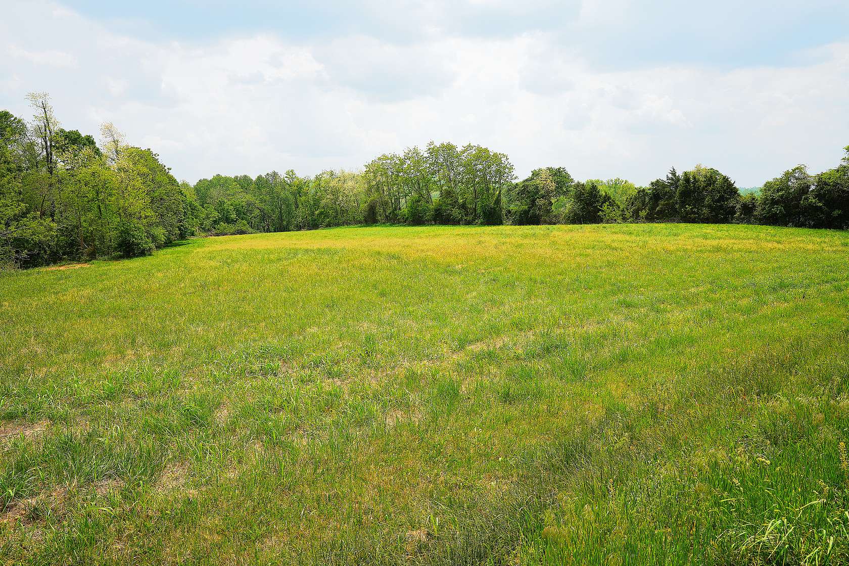 15 Acres of Land for Sale in Greensburg, Kentucky
