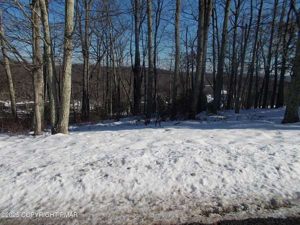 0.33 Acres of Residential Land for Sale in Tannersville, Pennsylvania
