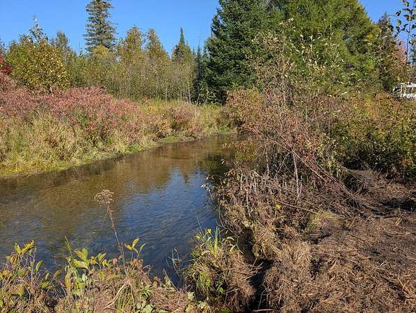 3.3 Acres of Land for Sale in Atlanta, Michigan