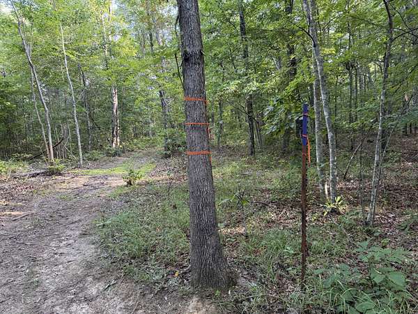 4.46 Acres of Residential Land for Sale in Beersheba Springs, Tennessee