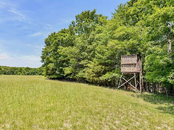 262 Acres of Land for Sale in Lutts, Tennessee