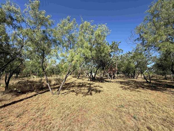 0.11 Acres of Land for Sale in Cottonwood Shores, Texas