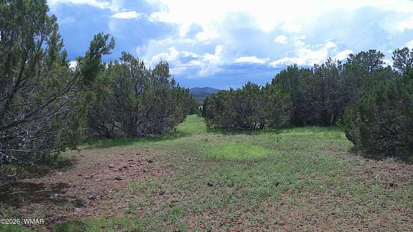 1.17 Acres of Residential Land for Sale in Vernon, Arizona