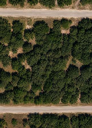0.24 Acres of Residential Land for Sale in Whitney, Texas
