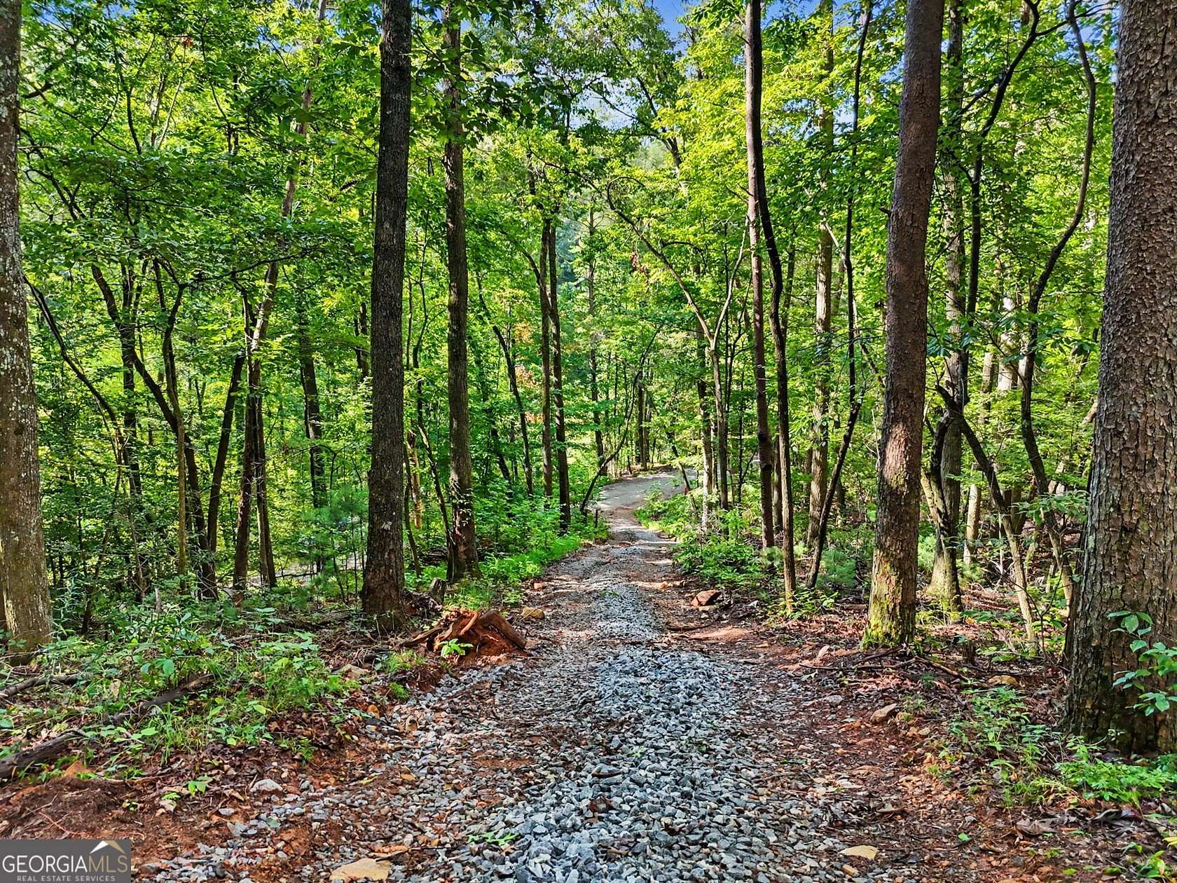 Residential Land for Sale in Clarkesville, Georgia