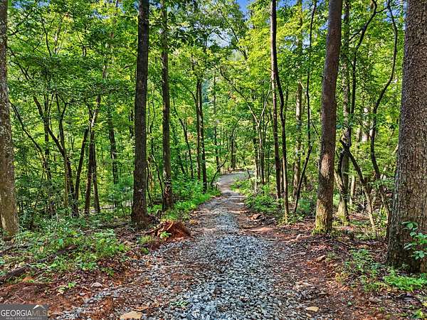 Residential Land for Sale in Clarkesville, Georgia