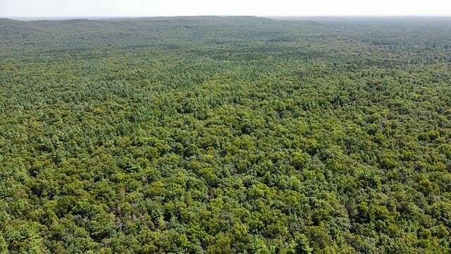 40 Acres of Recreational Land for Sale in Manistee, Michigan