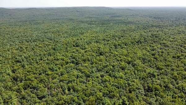 40 Acres of Recreational Land for Sale in Manistee, Michigan