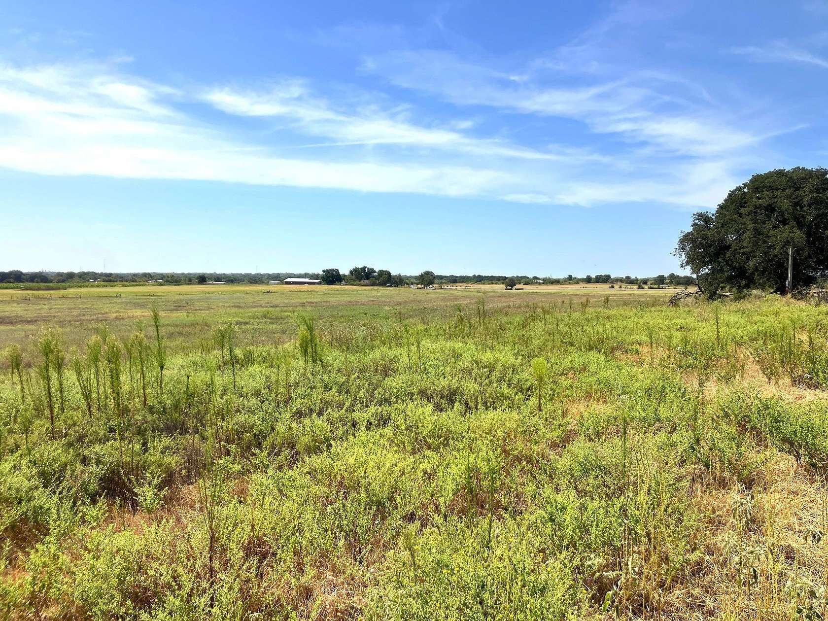 25.5 Acres of Land for Sale in De Leon, Texas