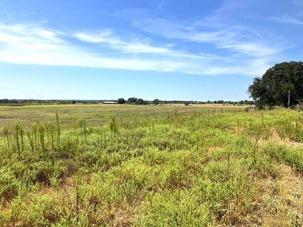 25.5 Acres of Land for Sale in De Leon, Texas