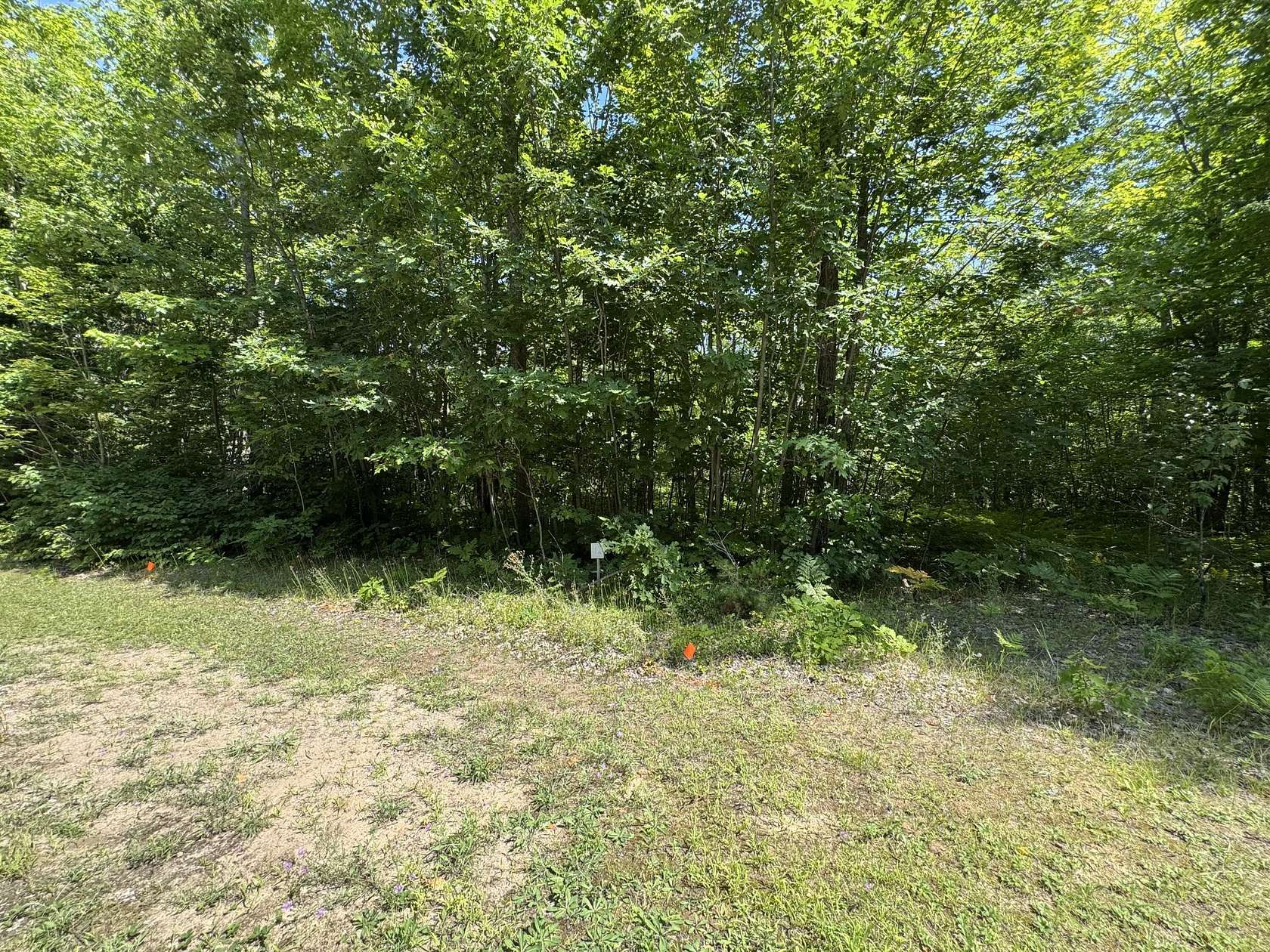 0.66 Acres of Residential Land for Sale in Kinross, Michigan
