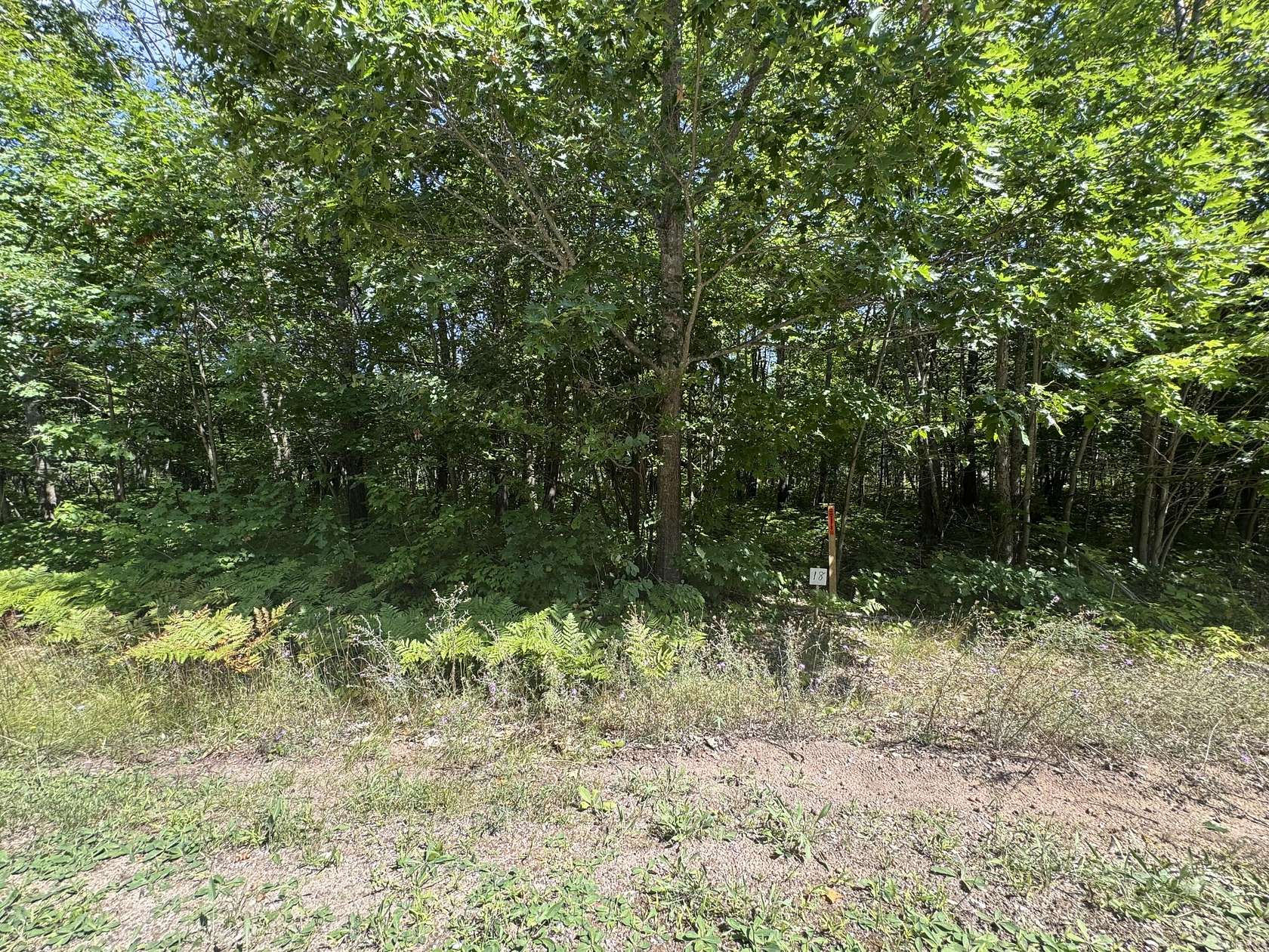 0.76 Acres of Residential Land for Sale in Kinross, Michigan