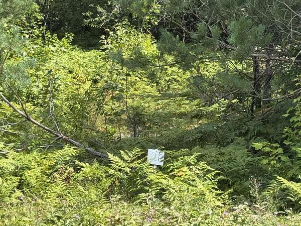 1.1 Acres of Residential Land for Sale in Kinross, Michigan