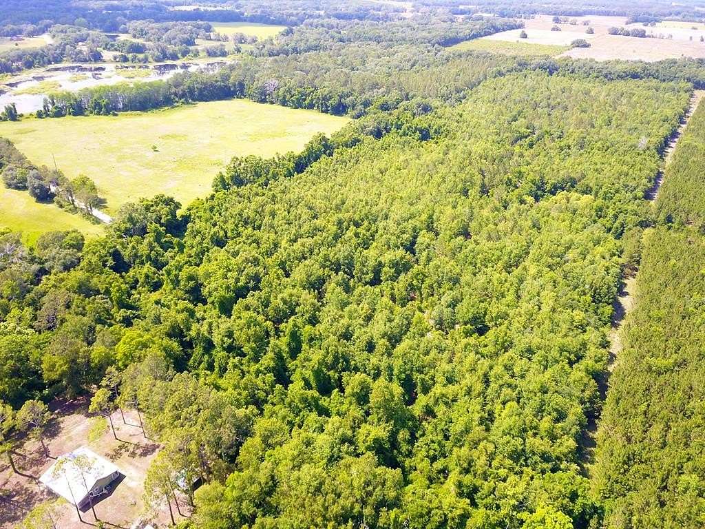 45.9 Acres of Recreational & Residential Land for Sale in Mayo, Florida