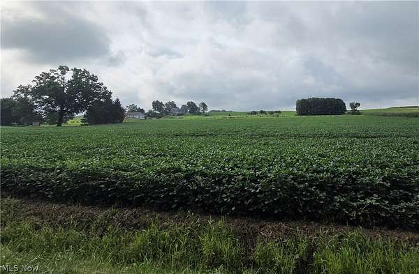8.5 Acres of Residential Land for Auction in Orrville, Ohio