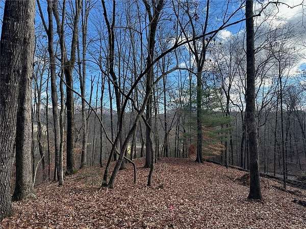 6.24 Acres of Residential Land for Sale in Murrayville, Georgia