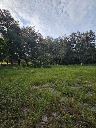 1 Acre of Residential Land for Sale in Geneva, Florida