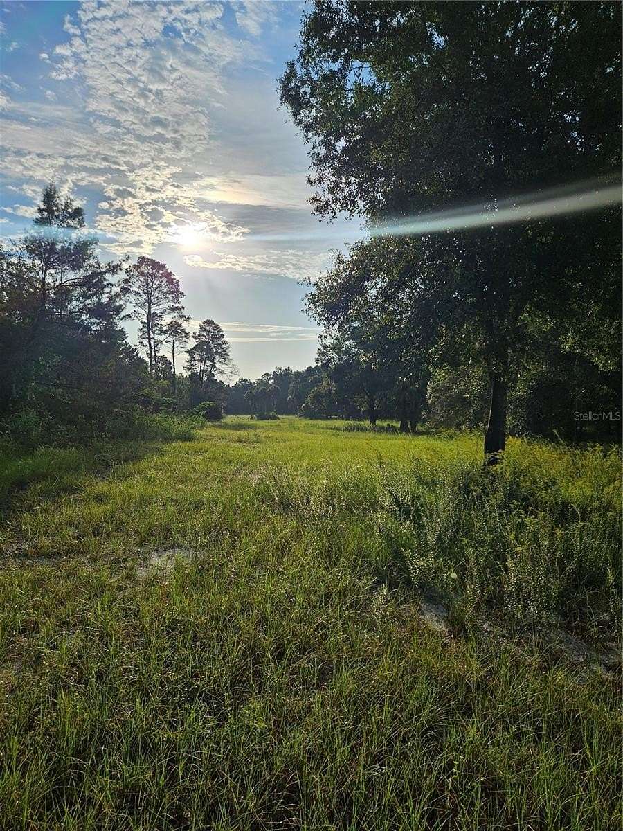 8.69 Acres of Land for Sale in Geneva, Florida