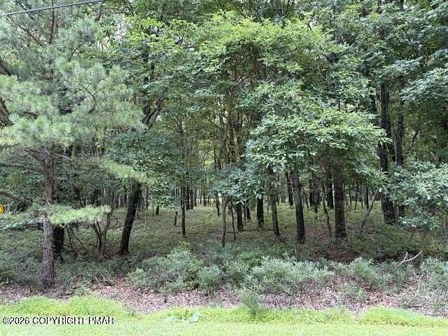1 Acre of Residential Land for Sale in Effort, Pennsylvania
