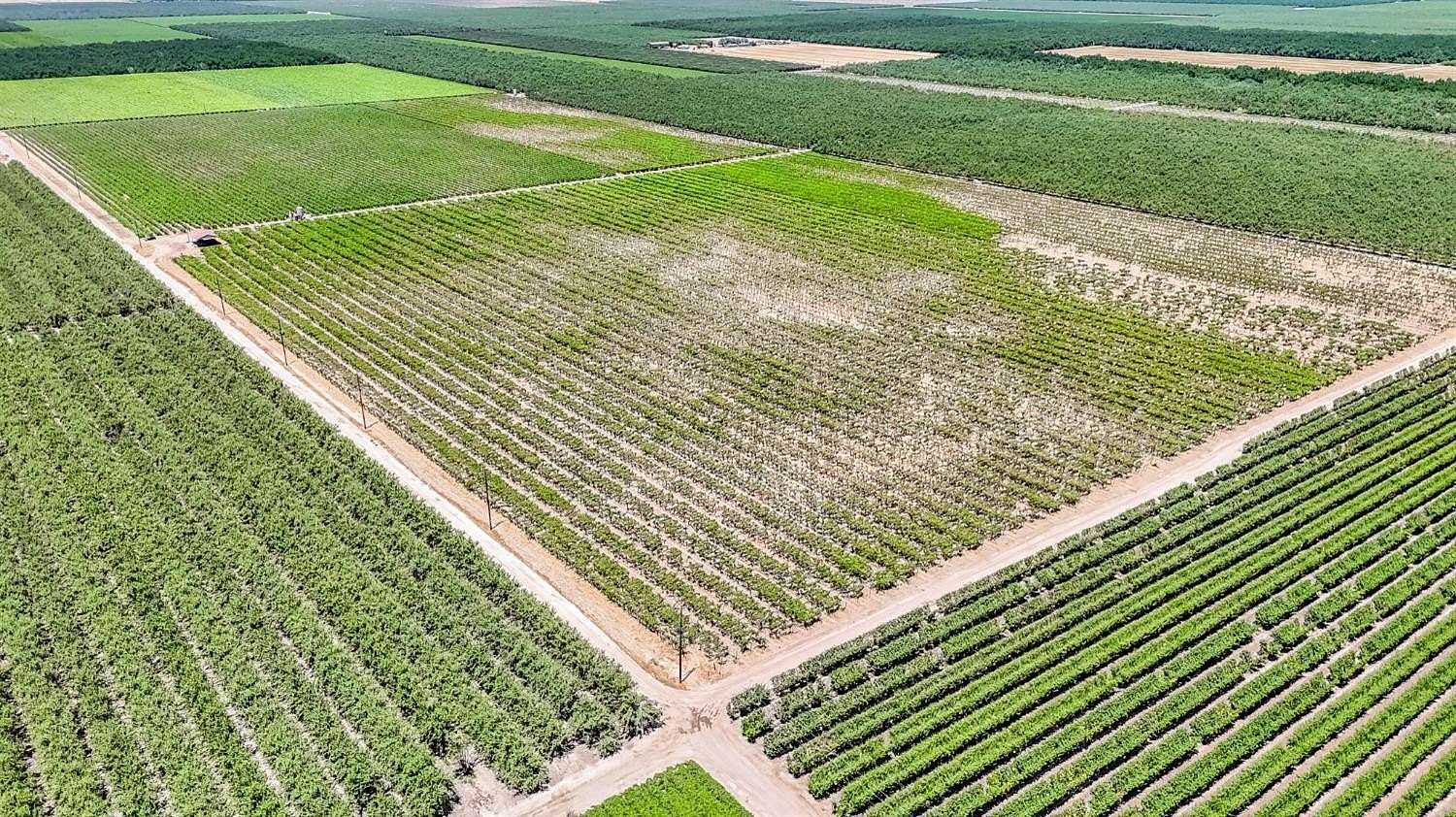 80 Acres of Land for Sale in Laton, California