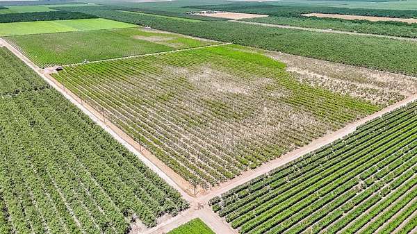 80 Acres of Land for Sale in Laton, California