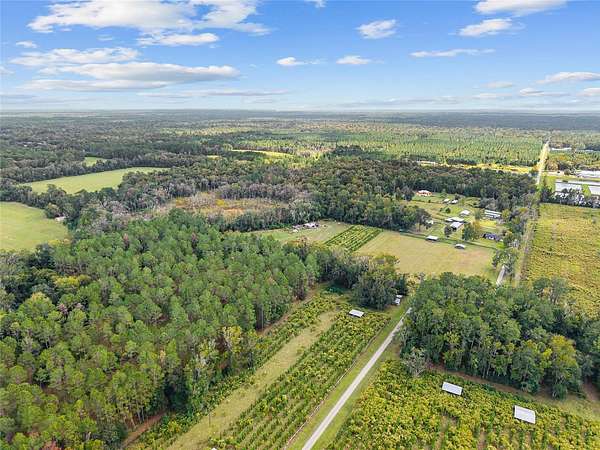 17.5 Acres of Recreational & Residential Land for Sale in Gainesville, Florida