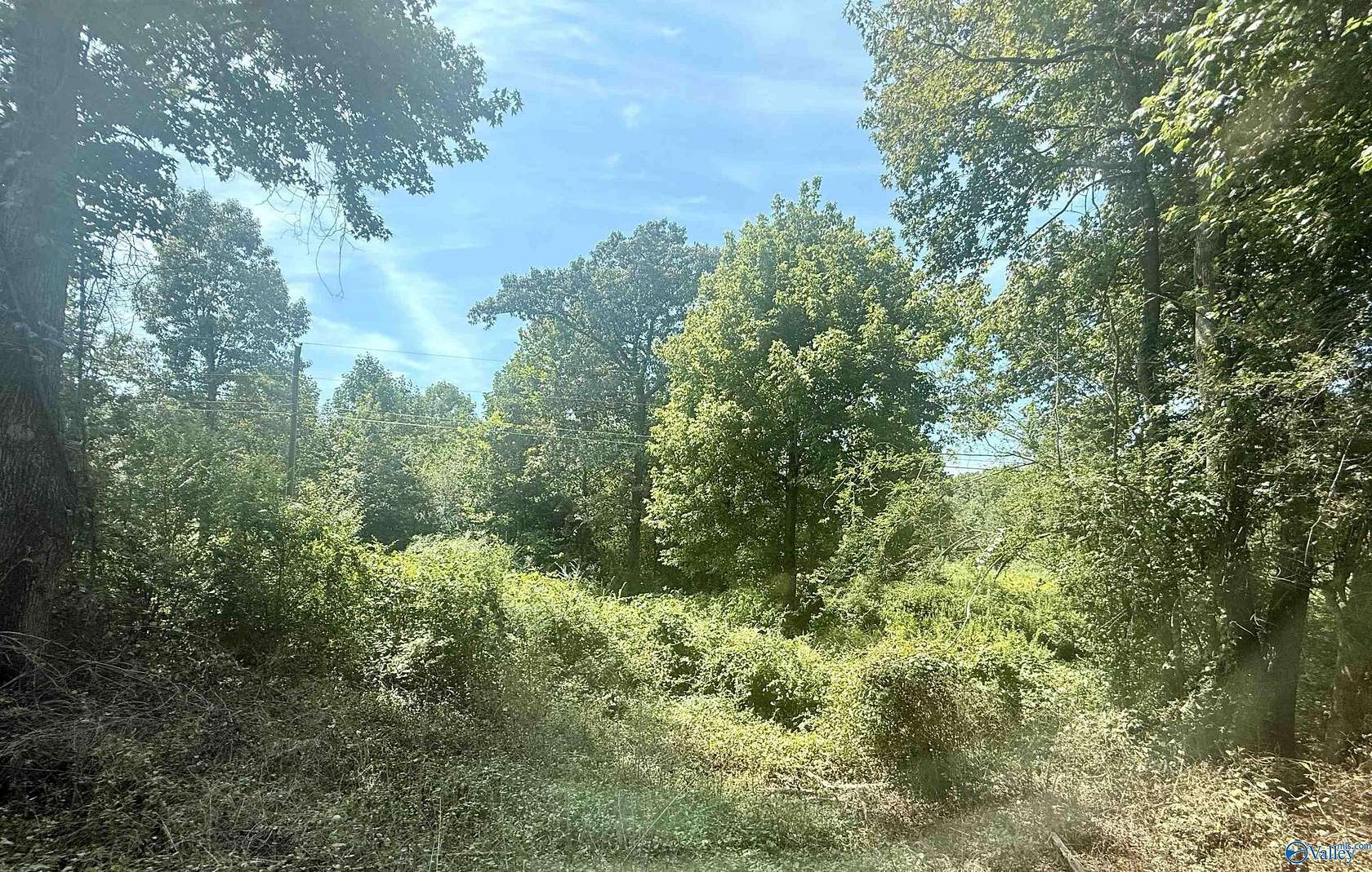 24 Acres of Recreational Land for Sale in Arab, Alabama