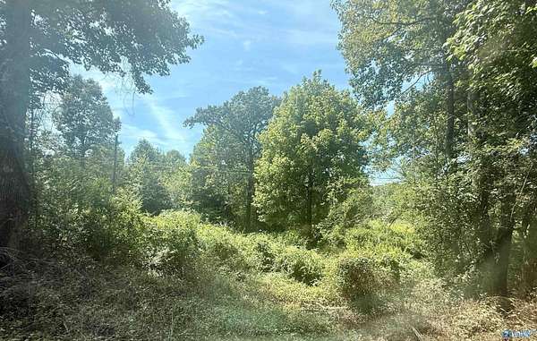 24 Acres of Recreational Land for Sale in Arab, Alabama