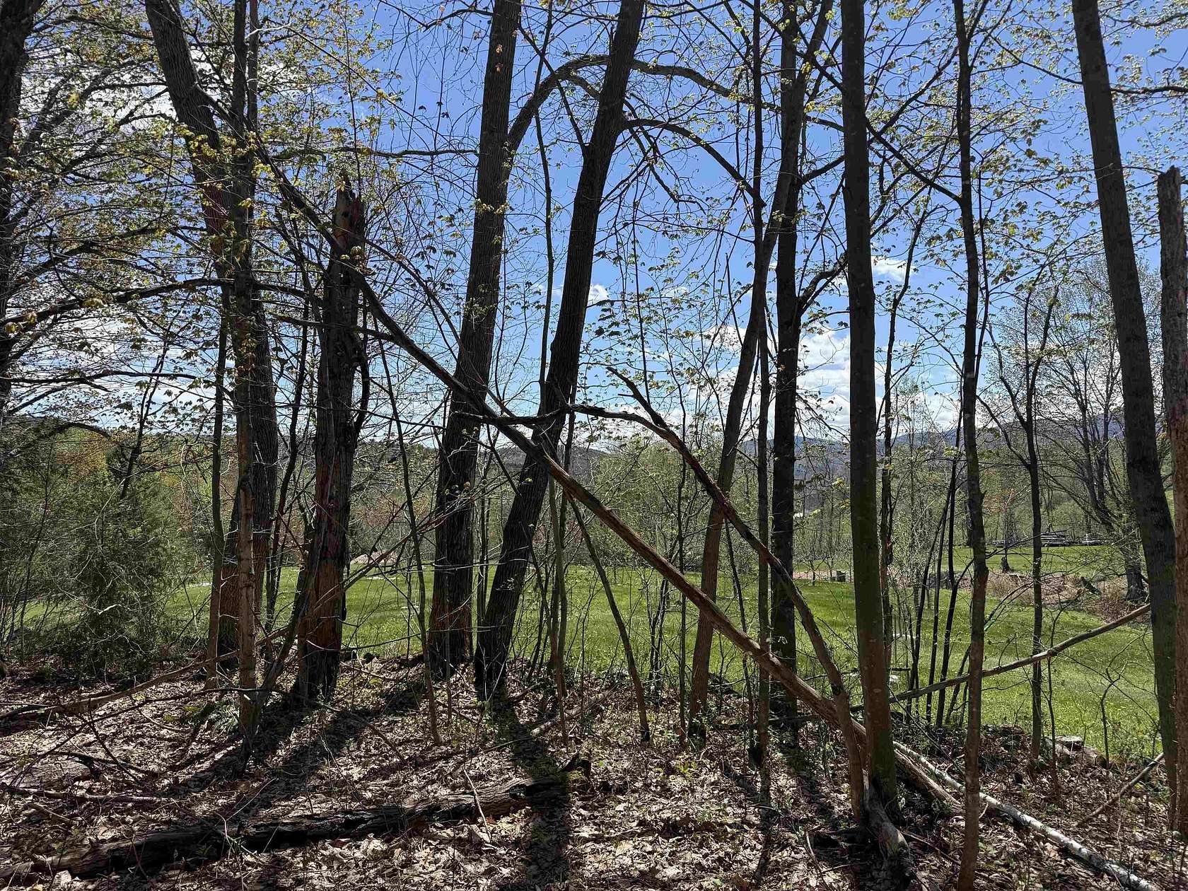 12.2 Acres of Recreational & Residential Land for Sale in Braintree Town, Vermont
