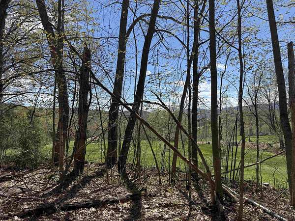 12.2 Acres of Recreational & Residential Land for Sale in Braintree Town, Vermont