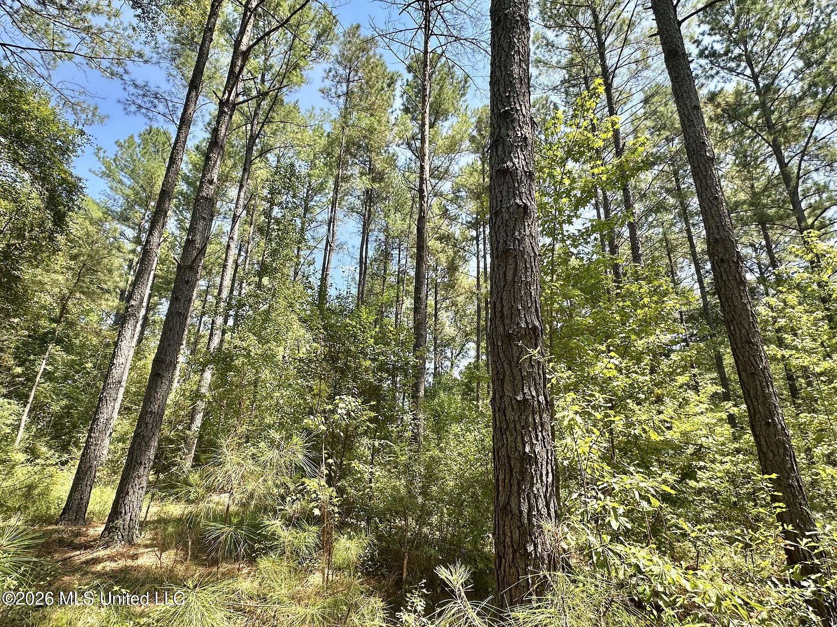 17 Acres of Land for Sale in Enterprise, Mississippi