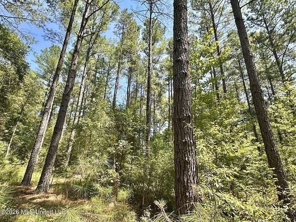 17 Acres of Land for Sale in Enterprise, Mississippi