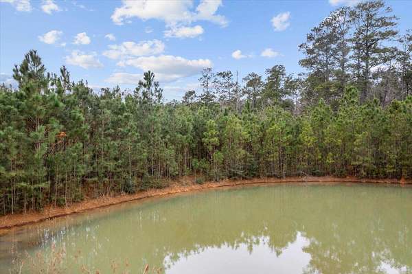 210 Acres of Recreational & Residential Land for Sale in Barnum, Texas