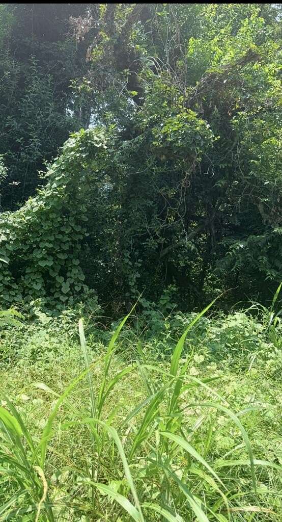 0.92 Acres of Land for Sale in Columbus, Georgia