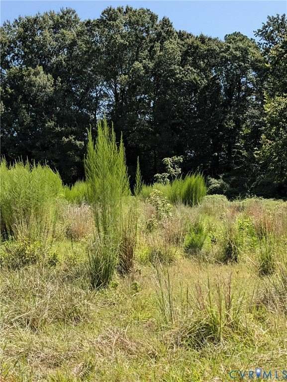 0.89 Acres of Residential Land for Sale in Highland Springs, Virginia