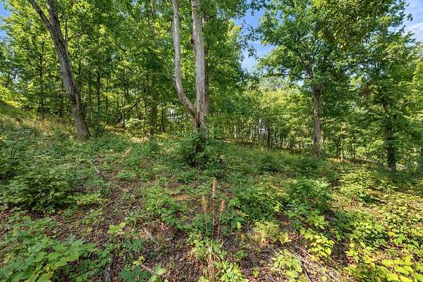 2.14 Acres of Mixed-Use Land for Sale in Gallipolis, Ohio